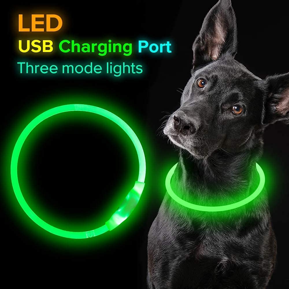 Bargain Mart - USB Rechargeable, Glowing Pet Dog Collar for Night Safety