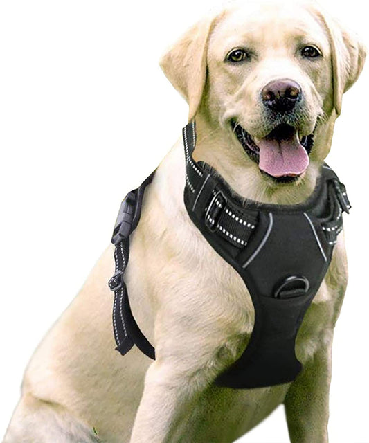 Bargain Mart - No-Pull Pet Harness with 2 Leash Clips, Adjustable Soft Padded Dog Vest, Reflective Outdoor