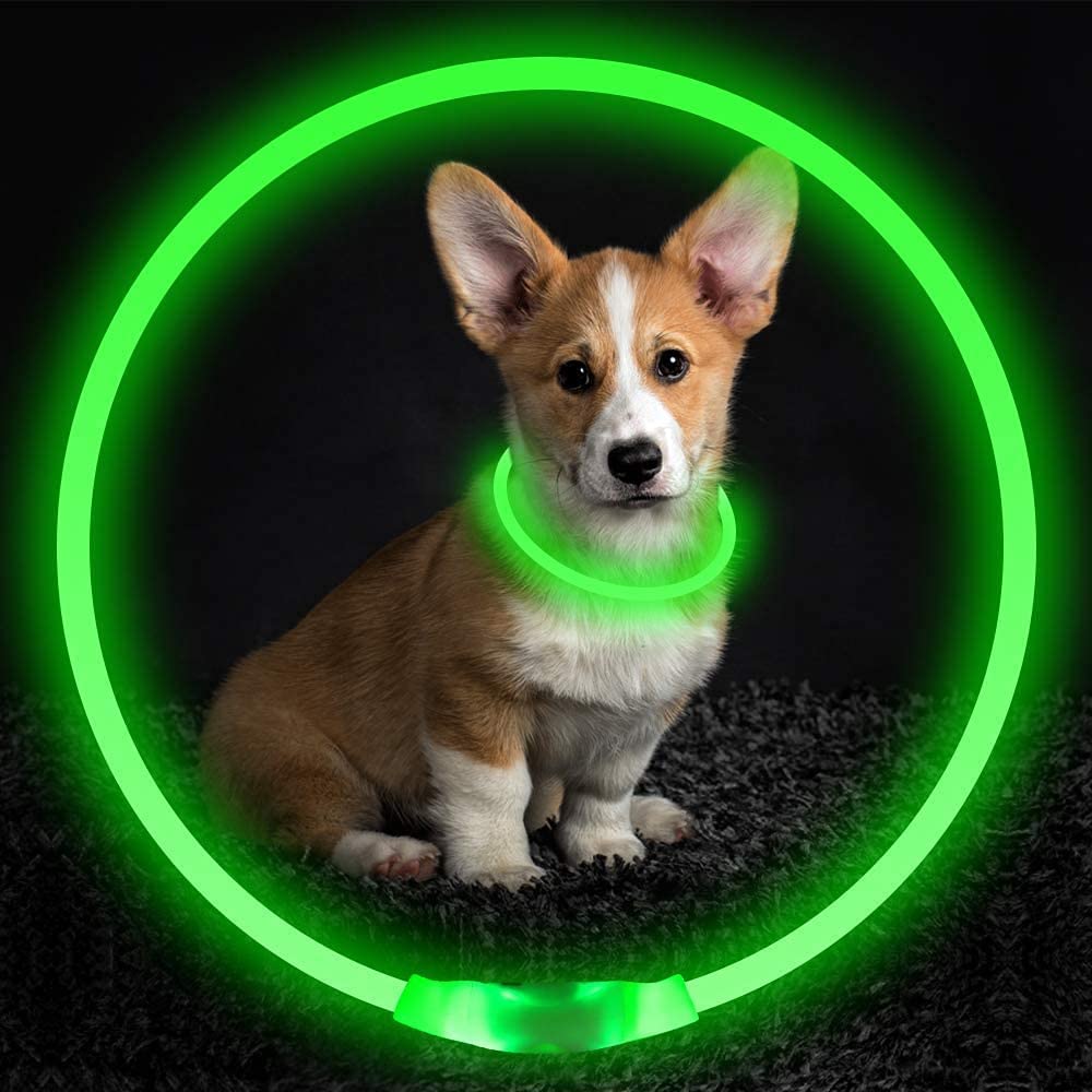 Bargain Mart - USB Rechargeable, Glowing Pet Dog Collar for Night Safety