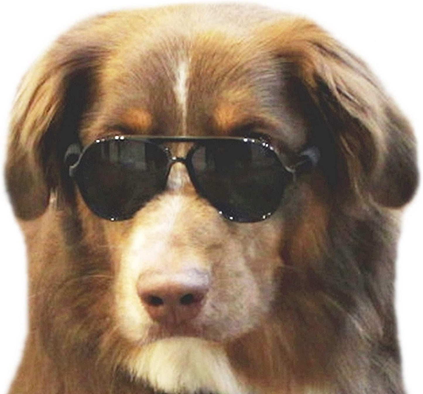 Bargain Mart - Pet Costume Prop Aviator Sunglasses Medium Breeds 20-40 lbs