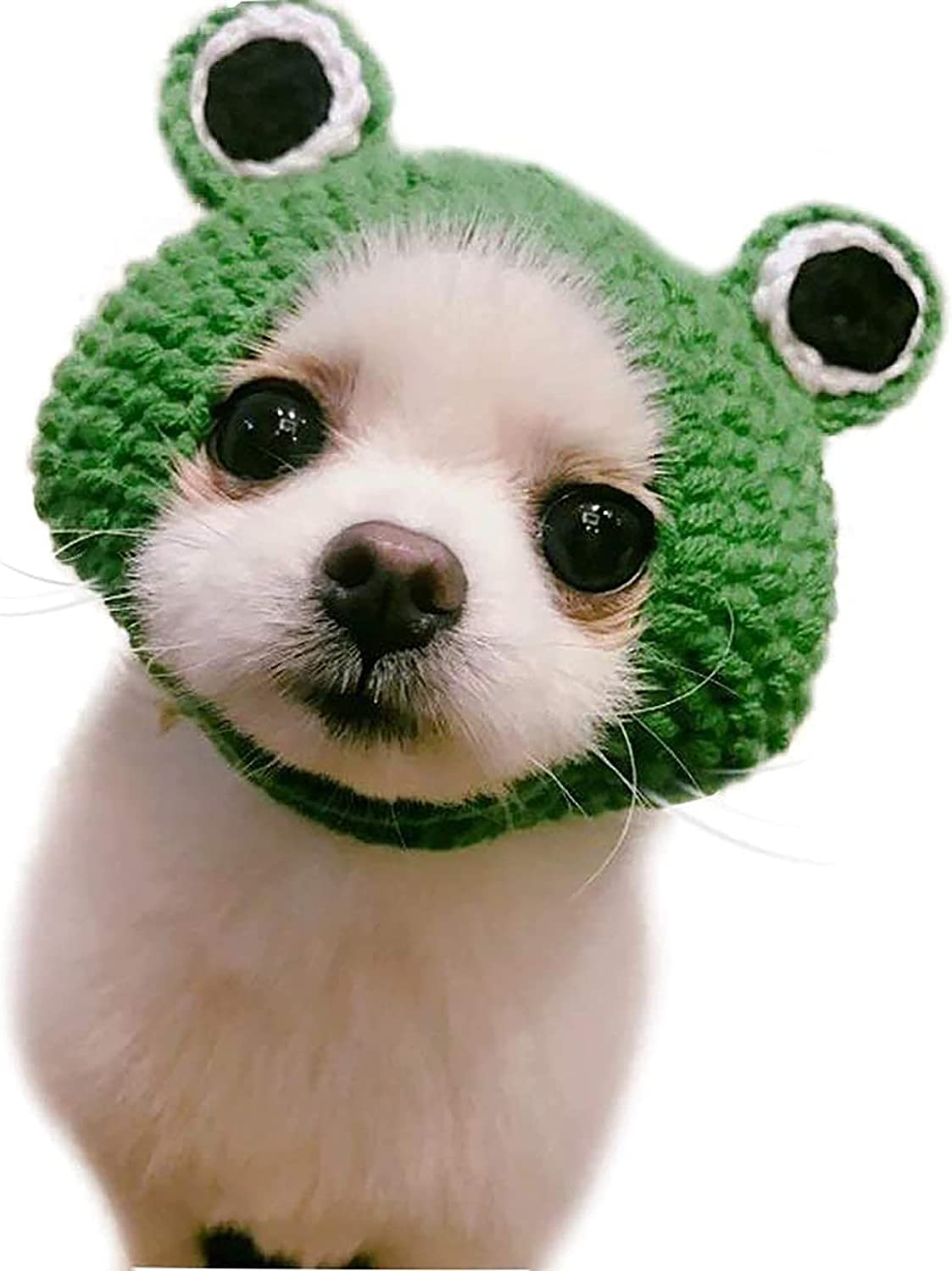 Bargain Mart - Handmade Knitted Woolen Yarn Frog Cap for Dog Puppy