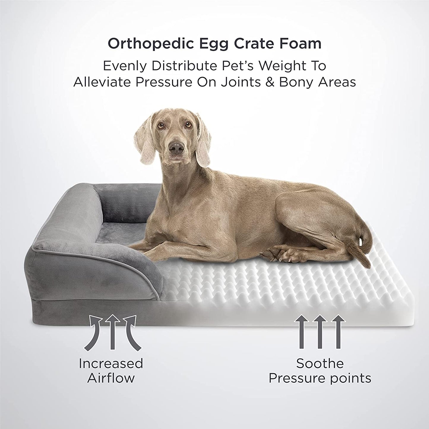 Bargain Mart - Orthopedic Dog Bed Bolster for Medium/Large/Extra Large Dogs