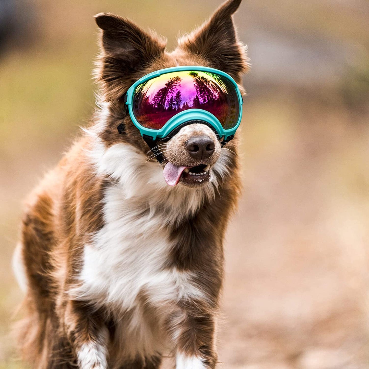 Bargain Mart - Breathable Dog Goggles