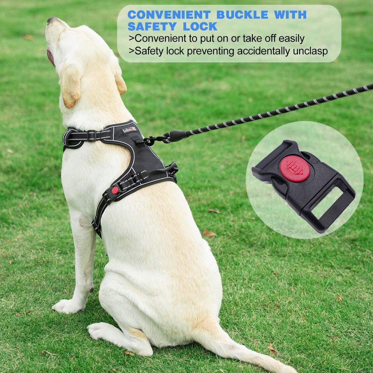 Bargain Mart - Free Heavy Duty 5ft Dog Leash No Pull Dog Harness Adjustable Reflective Oxford Easy Control Medium Large Dog Harness with A