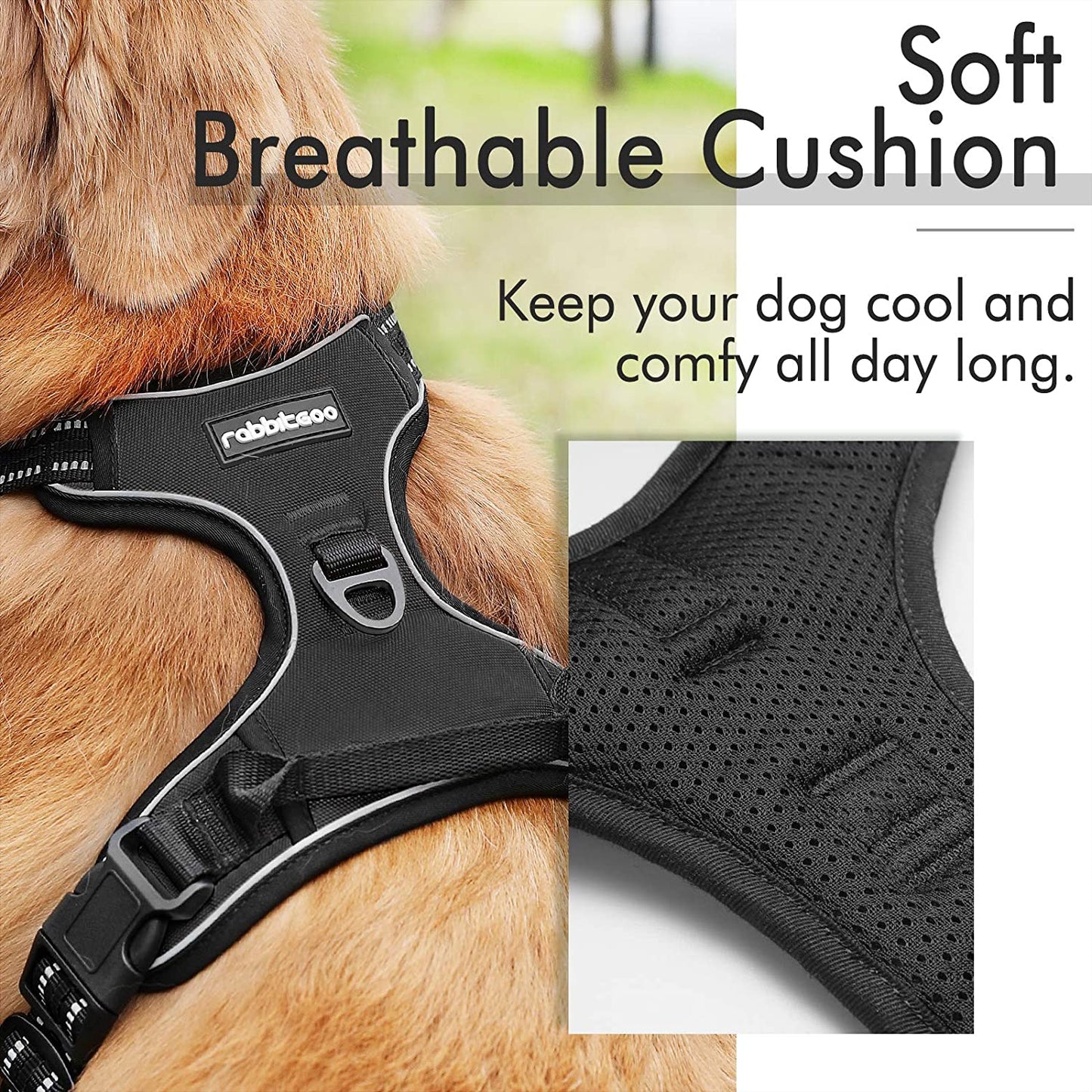 Bargain Mart - No-Pull Pet Harness with 2 Leash Clips, Adjustable Soft Padded Dog Vest, Reflective Outdoor