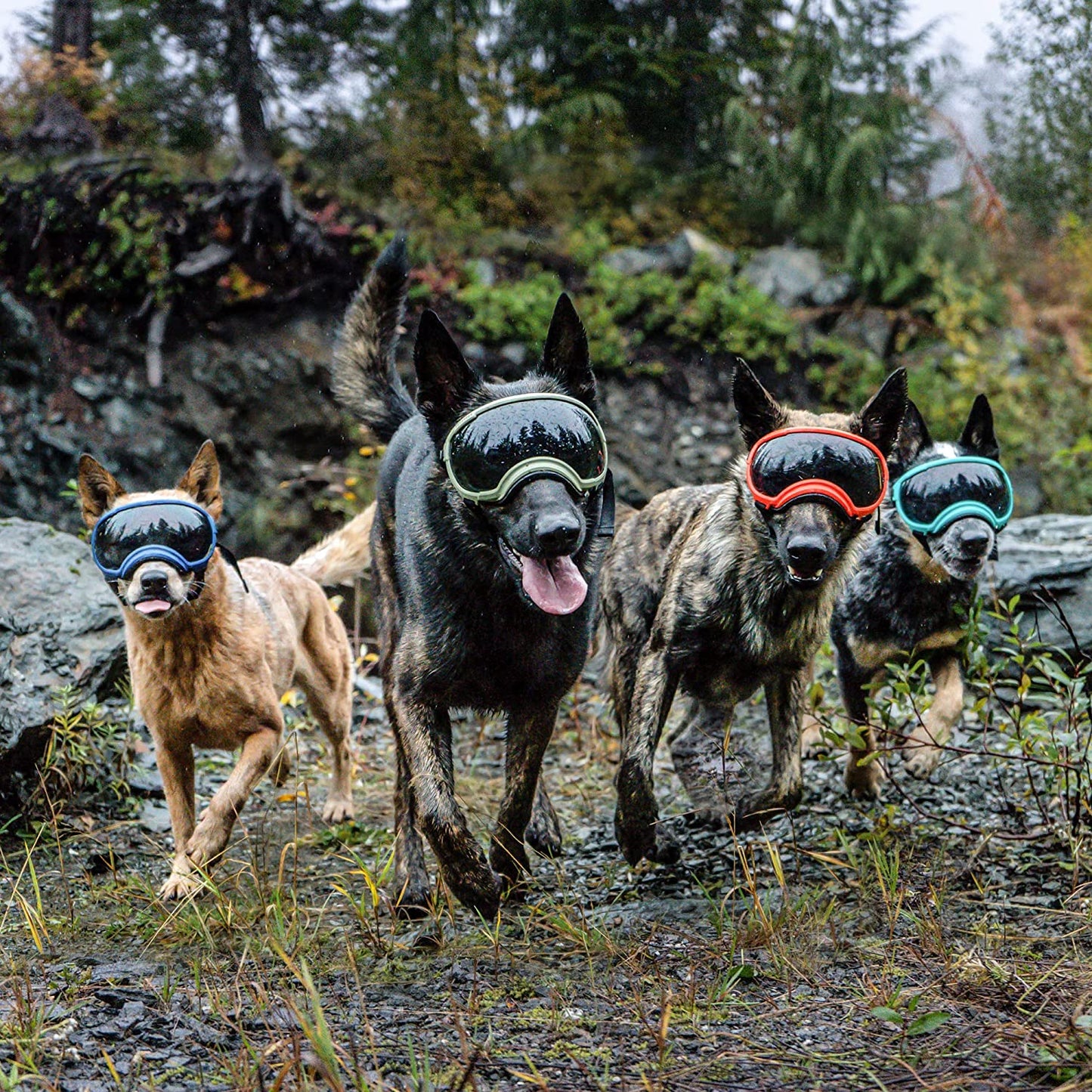 Bargain Mart - Breathable Dog Goggles