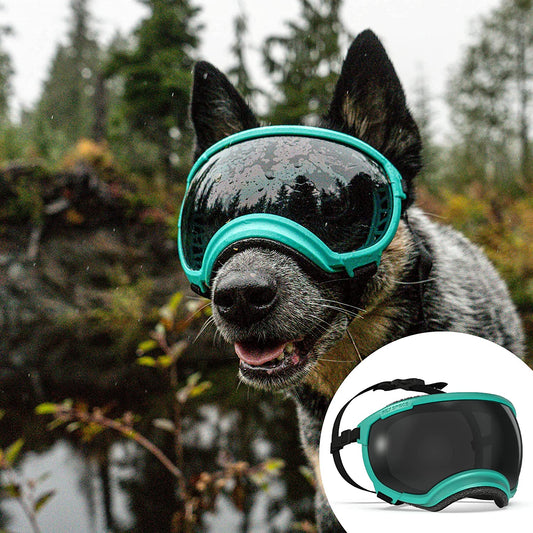 Bargain Mart - Breathable Dog Goggles